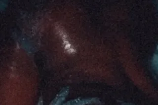 sex therapist💦 - Image 3