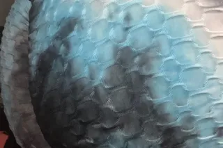 Cum Party With Me for The new year A whole Bunch Fun And Great Attuide Good everything - Image 4