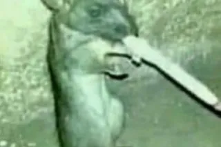 lemme suck you dry bby😍😍😍😍DEALS FOR CASHAPP🔥 - Image 5